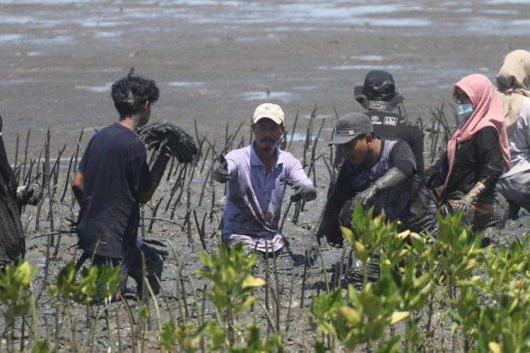 Bersama WWF, Ikatan Pelajar Muhammadiyah Maros Gelar Penanganan 10.000 Mangrove