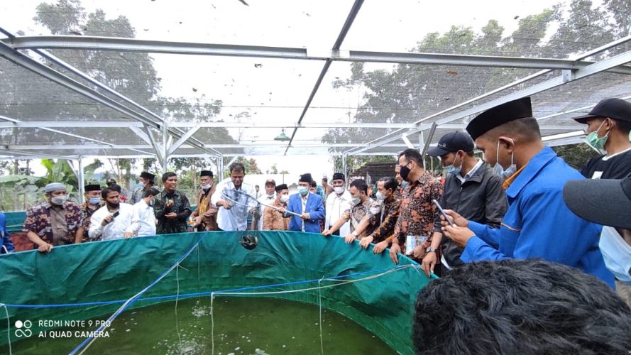 Wakil Rektor IV Unismuh Makassar Panen Ikan Nila di Ponpes Darul Fallah Bissoloro