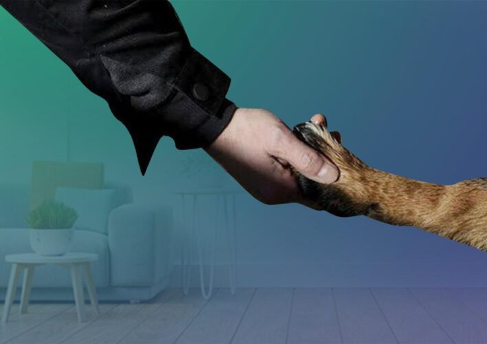 Menurut Muhammadiyah, Pelihara Anjing Tidak Haram?
