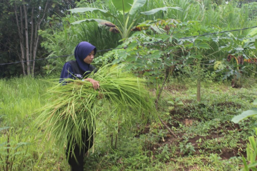 Edukasi Lingkungan Hidup, Aksi Nyata Kader Hijau Muhammadiyah Peringati Hari Bumi