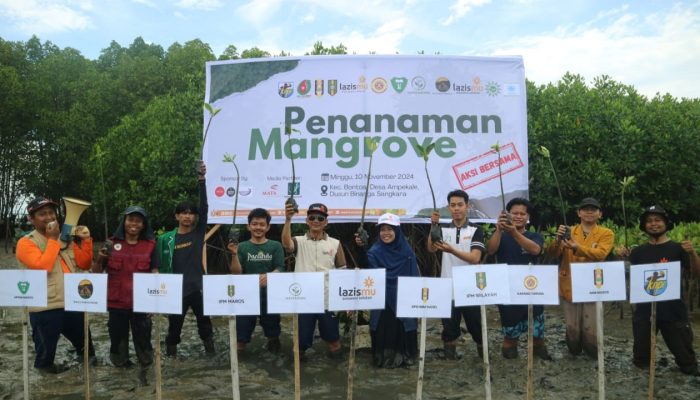 Lazismu Sulsel Gandeng 10 Lembaga Tanam Mangrove di Pesisir Maros