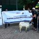 Syiar Idul Adha 1446 H, Ummul Mukminin Aisyiyah Sulsel Sembelih 7 Sapi 2 Kambing, BPKH Turut Sumbang