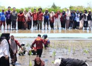 Pikom IMM FK Unismuh Makassar Gelar Aksi Tanam Mangrove di Kabupaten Takalar