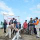 Kolaborasi Lazismu, MPM Muhammadiyah, dan Jatam Sulsel Hadirkan Sumur Bor Pertanian untuk Petani Belawa Wajo
