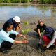 PWK UM Palopo Tanam Mangrove, Perkuat Ketahanan Pesisir